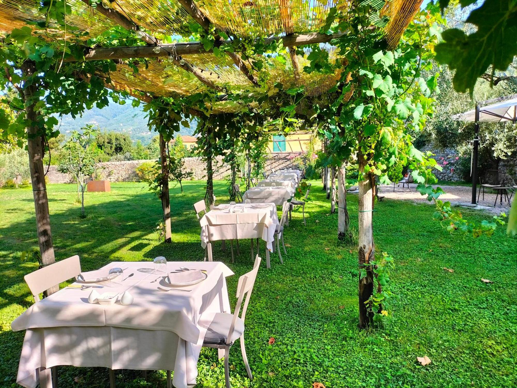 Badia Giulia Prestigious Historical B&B, Camaiore - Adults Only - No Pets Zewnętrze zdjęcie