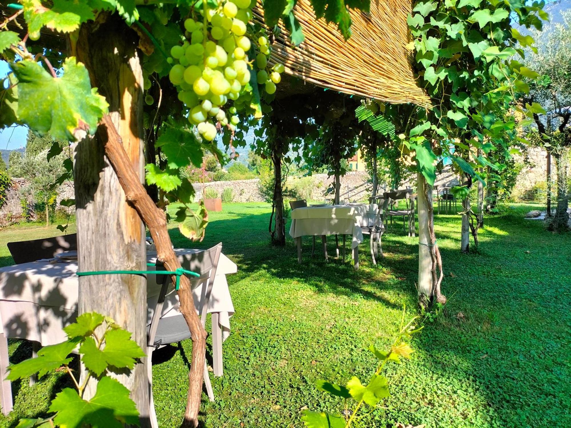 Badia Giulia Prestigious Historical B&B, Camaiore - Adults Only - No Pets Zewnętrze zdjęcie